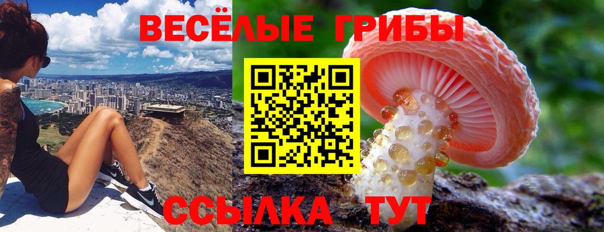 Галлюциногенные грибы прущие грибы  Вход с VPN  Тобольск 